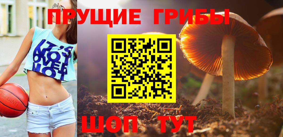 Геленджик  Галлюциногенные грибы MAGIC MUSHROOMS  Вход с VPN  Галлюциногенные грибы ЛСД 